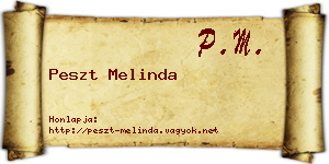 Peszt Melinda névjegykártya